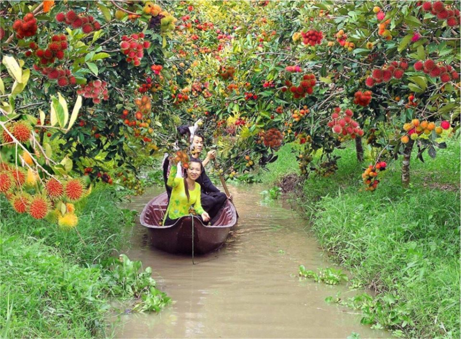 Tour 2 Ngày 1 Đêm  Vui chơi xoả stress - Gắn kết cùng team